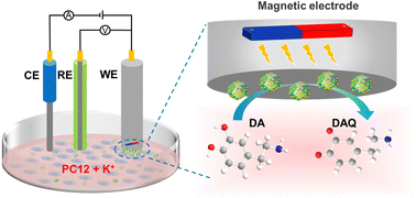 Graphical abstract: Magnetic MOF composites for the electrocatalysis and biosensing of dopamine released from living cells