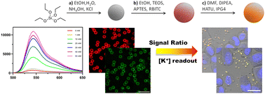 Graphical abstract: A fluorescent ratiometric potassium sensor based on IPG4-silica microparticles for selective detection and fluorescence imaging of potassium cations