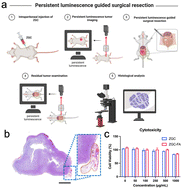 Graphical abstract: Persistent luminescence nanoparticles with high intensity for colorectal cancer surgery navigation and precision resection