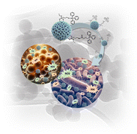 Graphical abstract: Unleashing the antibacterial and antibiofilm potential of silica-based nanomaterials functionalized with an organotin(iv) compound