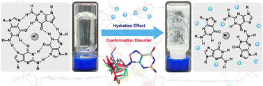 Graphical abstract: Hydration effect and molecular geometry conformation as critical factors affecting the longevity stability of G4-structure-based supramolecular hydrogels