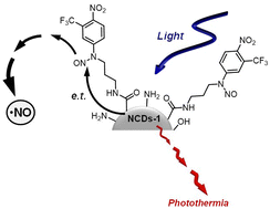 Graphical abstract: Electronic interaction-enhanced NO photorelease and photothermal conversion in N-doped carbon dot nanoconjugates