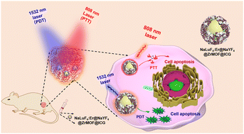 Graphical abstract: An intelligent NIR-IIb-responsive lanthanide@metal–organic framework core–shell nanocatalyst for combined deep-tumor therapy