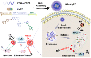 Graphical abstract: H2O2-activated mitochondria-targeting photosensitizer for fluorescence imaging-guided combination photodynamic and radiotherapy