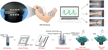 Graphical abstract: A liquid metal-based sticky conductor for wearable and real-time electromyogram monitoring with machine learning classification