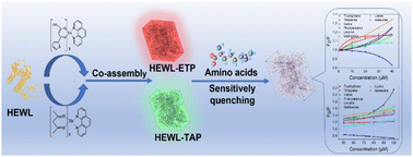 Graphical abstract: Luminescent bio-sensors via co-assembly of hen egg white lysozyme with Eu3+/Tb3+-complexes