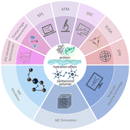 Graphical abstract: Experimental and computational techniques to investigate the protein resistance of zwitterionic polymers