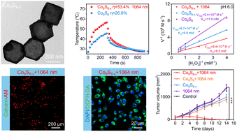 Graphical abstract: Vacancy engineering enhanced photothermal-catalytic properties of Co9S8−x nanozymes for mild NIR-II hyperthermia-amplified nanocatalytic cancer therapy