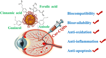 Graphical abstract: Surface moieties drive the superior protection of curcumin-derived carbon quantum dots against retinal ischemia-reperfusion injury