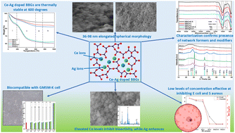 Graphical abstract: Exploring the bioactivity and antibacterial properties of silver and cerium co-doped borosilicate bioactive glass