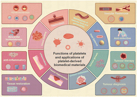 Graphical abstract: Platelet-derived biomaterials for targeted drug delivery and tissue repair