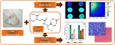 Graphical abstract: Cross-linked poly(alkylene citrates) with l-glutathione for vascular tissue engineering: structure–property relationships and cell-type dependent response to oxidative stress
