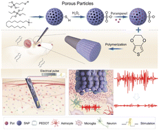 Graphical abstract: On-demand electrically controlled perampanel delivery from a PEDOT/SNP composite for seizure control