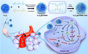 Graphical abstract: Zwitterionic polymer-coated magnetic nanoparticle induced chemotherapy and ferroptosis for triple-negative breast cancer therapy