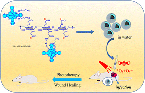 Graphical abstract: Bacteria-visualizing nano-bactericide with anti-inflammation and wound healing properties for in situ NIR phototherapeutic strategies