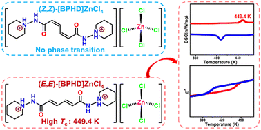 Graphical abstract: A muconic acid derivative isomeric organic–inorganic metal halide with high-temperature phase transition