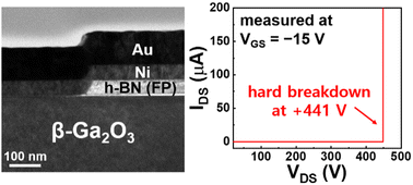 Graphical abstract: A high-breakdown-voltage β-Ga2O3 nanoFET with a beveled field-plate structure