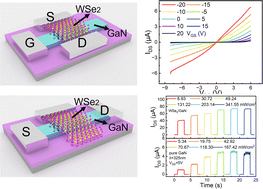 Graphical abstract: A dual-band photodetector based on a mixed-dimensional WSe2/GaN junction