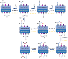 Graphical abstract: A DFT study of the mechanism of NH3-SCR NOx reduction over Mn-doped and Mn–Ti co-doped CoAl2O4 catalysts