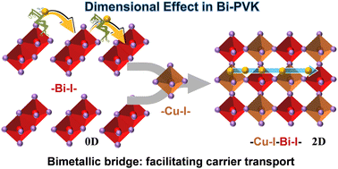 Graphical abstract: Enhanced photoelectric performance in Cu–Bi double halide perovskite single crystals