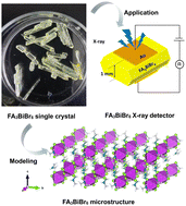 Graphical abstract: Suppression of ion migration in lead-free zero-dimensional perovskite FA3BiBr6 single crystals for X-ray detection