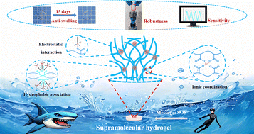 Graphical abstract: Bio-inspired, robust, and anti-swelling hydrogel sensors for underwater information transmission