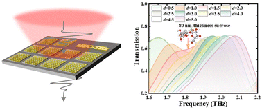 Graphical abstract: A terahertz metasurface biosensor based on electromagnetically induced transparency for fingerprint trace detection