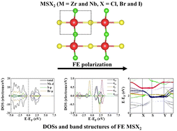 Graphical abstract: Multiferroicity in 2D MSX2 (M = Nb and Zr; X = Cl, Br, and I)