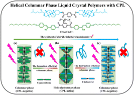 Graphical abstract: Helical columnar phase of mesogen-jacketed liquid crystal polymers for efficient circularly polarized luminescence