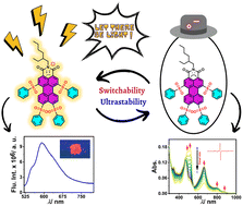 Graphical abstract: Perylenemonoimide-based superstable radical anions and dianions with solid-state emission properties