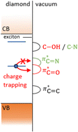 Graphical abstract: Enhanced quantum properties of shallow diamond atomic defects through nitrogen surface termination