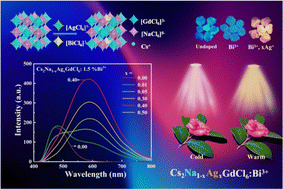 Graphical abstract: Alloying strategy for developing a single-band warm white emitting material Cs2NaGdCl6:Bi3+via Ag+ co-doping