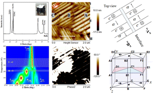 Graphical abstract: Well-defined polymorph transformation sequences and novel tetragonal twin-domain patterns in the morphotropic phase boundary of Dy-modified BiFeO3–PbTiO3 single crystals