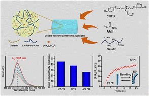 Graphical abstract: The design of multi-functional ionic hydrogels with anti-freezing, temperature response and luminescence properties