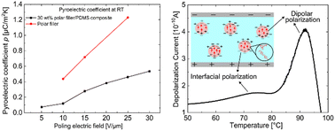 Graphical abstract: Pyroelectricity in poled all-organic polar polynorbornene/polydimethylsiloxane-based stretchable electrets