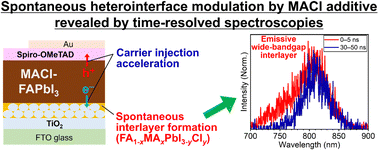 Graphical abstract: Unveiled effects of the methylammonium chloride additive on formamidinium lead halide: expediting carrier injection from the photoabsorber to carrier transport layers through spontaneously modulated heterointerfaces in perovskite solar cells