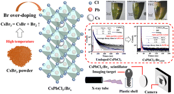 Graphical abstract: Ultrafast scintillation at room temperature achieved in CsPbCl3-based single crystals through Br over-doping