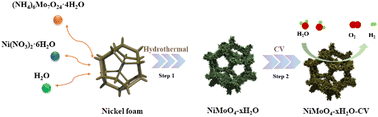 Graphical abstract: Hydrate catalysts enabled the self-reconstruction of NiMoO4 for efficient water oxidation