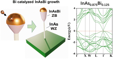 Graphical abstract: The roles of Bi in InAs and InAsBi nanostructure growth