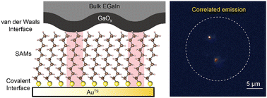 Graphical abstract: Revealing the correlation relation between conducting channels in self-assembled monolayer tunnel junctions