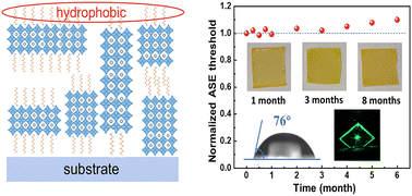 Graphical abstract: Long-term air-stable amplified spontaneous emission in quasi-2D perovskite films through ligand engineering