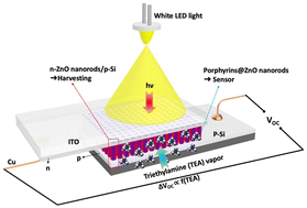 Graphical abstract: A self-powered photoactive room temperature gas sensor based on a porphyrin-functionalized ZnO nanorod/p-Si heterostructure