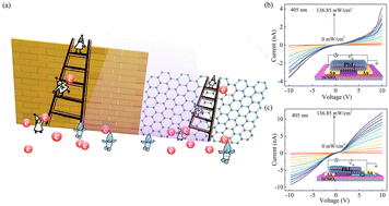 Graphical abstract: Kilogram-scale high-yield production of PbI2 microcrystals for optimized photodetectors