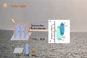 Graphical abstract: Construction of a SnS2/TiO2 S-scheme heterostructure photocatalyst for highly efficient photocatalytic degradation of tetracycline hydrochloride