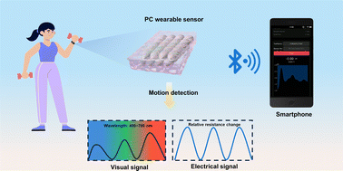 Graphical abstract: Biomimetic photonic crystal double-network hydrogel for visual and electrical dual signal bluetooth-enabled wearable sensor