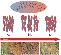 Graphical abstract: Polar nematic phases with enantiotropic ferro- and antiferroelectric behaviour