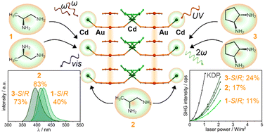 Graphical abstract: Chiral cadmium–amine complexes for stimulating non-linear optical activity and photoluminescence in solids based on aurophilic stacks