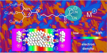 Graphical abstract: New ionic mesogens with high ionic conductivity based on a cyanoborate building block and lipophilic or hydrophilic counter ions