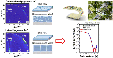 Graphical abstract: Controlled 2D growth approach via atomic layer deposition for improved stability and performance in flexible SnO thin-film transistors