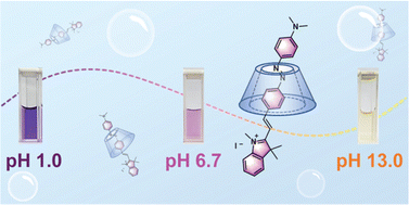 Graphical abstract: Cyclodextrin as a water-soluble host of azobenzene-based pH probe enables long-term monitoring